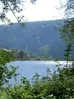 CIMG1530.webp