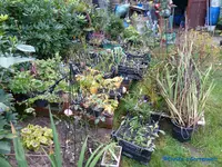 comp_P1250818.webp