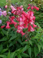 hrbst2015 (3).webp