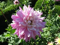 IMG_4501.webp