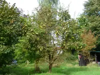 P1080160.webp