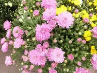 Bilda021.webp