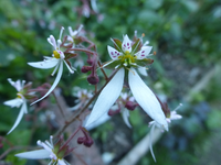 P1410840.webp