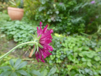 P1540198.webp