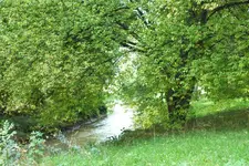 DSCF3525.webp