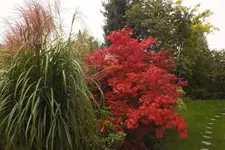 DSCF3718.webp
