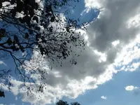 P1530797.webp