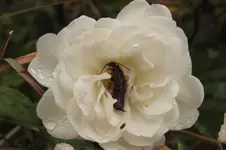 DSCF3728.jpg