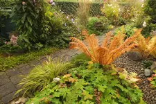 DSCF3724.webp