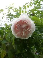 P1540148.webp
