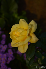 DSC_5804.webp