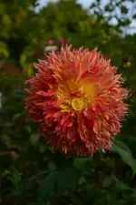 DSC_5811.webp
