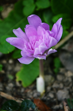 DSC_5819.webp