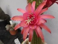 DSCF9833.webp