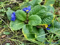 comp_P1250843.webp