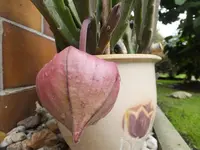 DSCF9834.webp