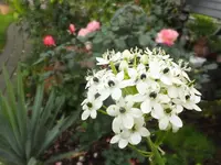 DSCF9863.webp