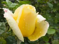 DSCF9843.webp