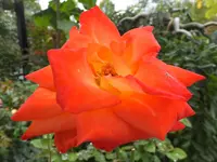 DSCF9845.webp