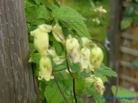 comp_P1250830.webp