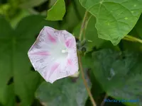 comp_P1250832.webp