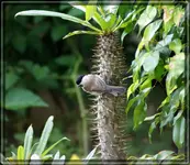 comp_DSC07123.webp