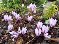 DSCF9014.webp