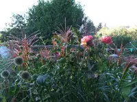 011.webp