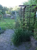 002.webp