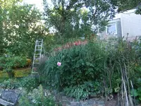 003.webp