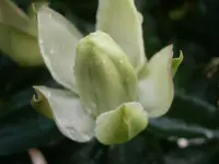 PA070594.webp