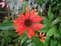 PA070608.webp