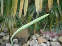PA070619.webp