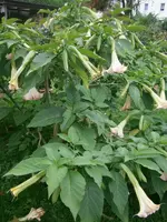 PA070622.webp