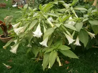 PA070623.webp