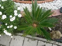 PA070624.webp