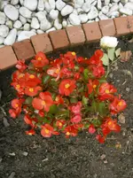 PA070629.webp