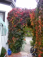 Terrasse1.webp