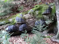 P1200261.webp