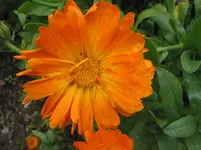 010.webp