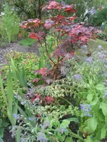 008.webp