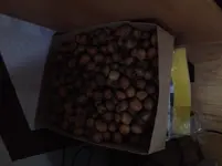 image.jpg