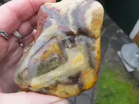 DSCF9029.webp