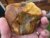 DSCF9031.webp