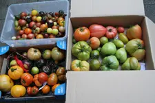 IMG_9058.webp
