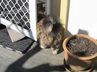 Copy of IMG_4901v.webp