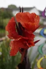 _DSC9474.webp