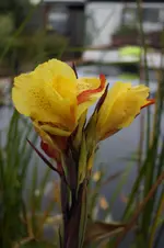 _DSC9475.webp