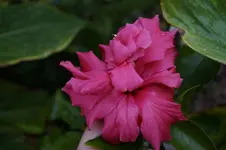 _DSC9482.webp