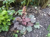 P1540317.webp